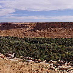 Palmeraie de Zagora