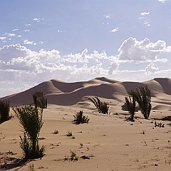 Dunes de Merzouga