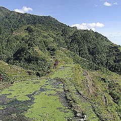 Les Philippines.