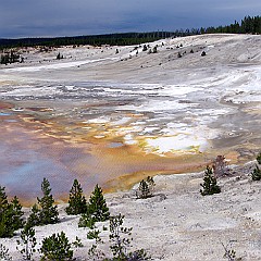 0957 0960 M  Yellowstone, état du Wyoming.