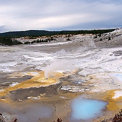 0969 0971 M  Yellowstone, état du Wyoming.