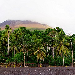 Sur l'île Lopevie au Vanuatu, vue sur le volcan.